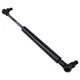 Door Gas Strut 1280263C1 for Case-IH Tractor 7110 7230 8950 9110 9210 Magnum 180