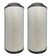 2x Air Filter AF4195 For 2010-19 Kenworth W900 Peterbilt 367 388 P625287 P614986