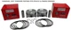 TWO .020" OVERSIZE PISTON KITS FITS KAWASAKI 13001-7031-20 FR541V FR600V ENGINES