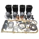 Rebuild Kit Deutz F4L912 Engine Deutz-Allis Tractor D5506 D6006 D6206 D6207