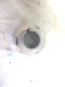 Hobart slicer1712 R special clutch for R version tray. 00-105073  New Old Stock