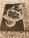  Candies, 1934 Pet Milk Company, Cookbook Recipe Book Illustrated 31-pages