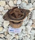 1989-1993 DODGE RAM  1st Gen CUMMINS D/W 250/350 WATER Pump Good Condition