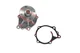 10-Year Warranty, Water Pump For Mitsubishi Forklift FGC15N-AF81F