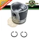 4223808M91 Piston For Massey Ferguson Tractors 231S, 241, 251XE, 253, 263, 451+