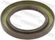 FEBEST 95GBY-48710808R Shaft Seal, manual transmission main shaft for Nissan