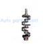 4D95 4D95L 4D95S 4D95S-W1 Crankshaft For Komatsu Excavator Engine Fast shipping