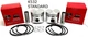 2 NEW STANDARD PISTONS FITS KOHLER K532, 20 HP CAST IRON ENGINE, 48-074-01-S