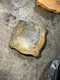 393229R91 Pressurized Radiator Cap Fits International Tractor 140 240 340 404