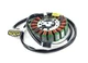 Arctic Cat ZR 9000 Thundercat, 2017-2022, Stator - 3020-396