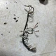 Cub Cadet 1440 1641 1864 Indicator Harness 725-3185