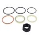 IEQFUE Skid Steer Lift Cylinder Seal Kit 7137865 6803312 6597265 Compatible w...