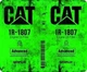 Cat/1R-1807/Green, Mouse Pad, Sublimated, Can Personalize, Made to Order (mp206)