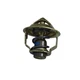 GENUINE Thermostat with Gasket for Kioti DK50SE