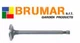 Engine Exhaust Valve ROBIN EY20 EY 20