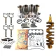 S4L S4L2 Engine Rebuild Kit & Crankshaft & Rods For Mitsubishi Caterpillar 304CR