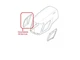 GENUINE Right Side Cover for Kioti RX6020P
