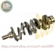Crankshaft For Isuzu 4LE2 Engine Kobelco SK75SR SK70SR-2 SK75UR-5 Excavator