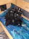 Volvo New OEM Control Valve VOE 11445347 L110F L110G L110H L120F L120G L120H