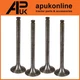 4x Cylinder Exhaust Valve for Landini C6000 Allis Chalmers 160 6040 Tractor