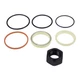 IEQFUE Skid Steer Lift Cylinder Seal Kit 7137865 6803312 6597265 Compatible w...