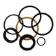 1" x 2" NEW Seal Kit Fits Case 1816B 1830 1835C 1840 1845B 1845C D61006