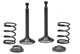 Intake Exhaust Valve Spring For Echo BEAR CAT IG3500E 3500 Watts Generator