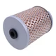 1014219M92 Oil Filter for Massey Ferguson TE20 TO20 TO30 TO35 F40 MH50 Tractor