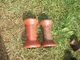 2 MF 520 620 820 DISC GANG SPOOLS DISK MASSEY FERGUSON 664714m1