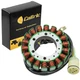 Stator for Honda TRX450FE TRX450FM Foreman ES S 2002 2003 2004 Magneto