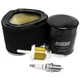 Tune Up Kit Air Fuel Filters Fits Kohler CV11-16 CV460-CV493 Engines 12 789 02-S