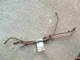 McCormick Farmall F20 IH tractor (3) ORIGINAL oil lines
