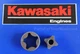 OEM PUMP ROTOR, KAWASAKI FD750D, FD791D, FD851D ENGINES, 16154-1079, 12D21