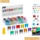 Versatile 120 Mini Fuse Kit - Protect Your Vehicle with Reliable 2A to 35A Fuses