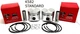 2 NEW STANDARD PISTONS FITS KOHLER K582, 23 HP CAST IRON ENGINE, USA SHIPPING