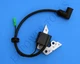 Robin EY15 EY15D EY20 EY20D Gas Engine Ignition Coil