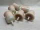 Filter Fuel Assy fits Kubota F2690 F2690E F3990 K3272-24210 In-Line Lot of 6