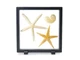 7" Floating Display Frame, Clear Display Case for Jewelry, Fossils, Rocks, Sp...