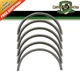 3056879-3 Rod Bearing Set .020 for Case-IH Tractors 385, 395, 500C+
