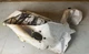 2017 Arctic Cat ZR 9000 Limited Right Side Orange Camo Fender Side Skid Plate