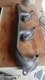 5N8657 Exhaust Manifold Caterpillar Model D342 D8 D8H D8K 583H 583 Original CGR