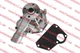 Water Pump For Caterpillar Forklift Truck DP70E