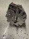 Proform Alternator 140 Amps Chrome Plated 12V Gm 10Si Case 66445-14N