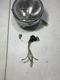 Honda ATC110 79&rsquo;-80&rsquo; Atc 90 75&rsquo;-78&rsquo; 1980 ATC185 Head Light Switch35100-943-003