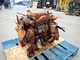 Perkins 4.108 Diesel Engine GOOD RUNNER! VIDEO! 4-108 ED90017