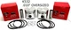2 NEW .010" OVERSIZE PISTONS FITS KOHLER K532 20 HP CAST IRON ENGINE 48-074-03-S