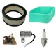 Engine Tune Up Kit Fits Kohler K241 K301 K321 M8 7" Air, Points Condenser Plug