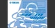 2017 Yamaha YFM700R ATV Maintenance and Owner's manual