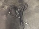 Gehl HL 4400 Hoses