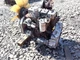 2006 Cummins B3.9C Turbo Diesel Engine GOOD RUNNER! VIDEO! CPL 8039 4BT 4BTA
